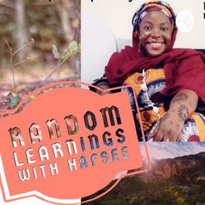 Random Learnings With Hafsee