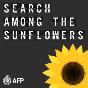 Search Among The Sunflowers