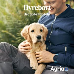 Dyrebart: Det gode hundeliv