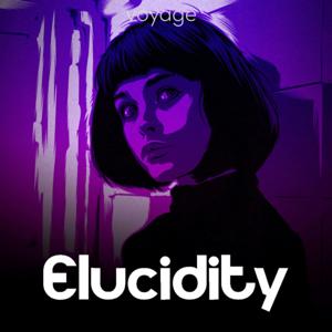 Elucidity by Koji Steven Sakai