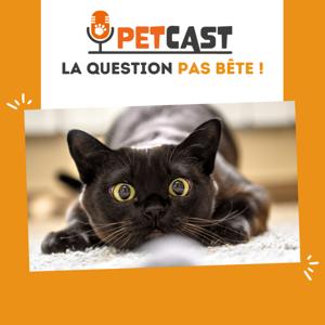 La question pas bĂȘte ! đŸđ§