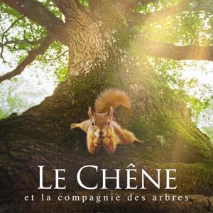 Le chêne et la compagnie des arbres