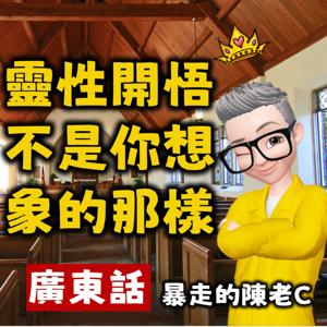 靈性開悟不是你想的那樣丨粵語丨廣東話有聲書丨陳老C