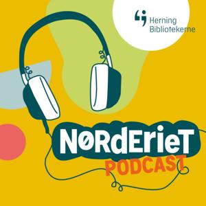 Nørderiet