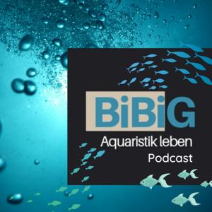 BiBiG - Aquaristik leben