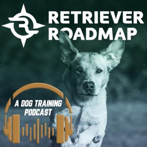 Retriever Roadmap