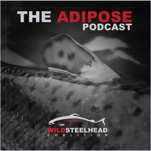 The Adipose by Wild Steelhead Coalition