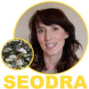 Seodra - Irish Language Podcast