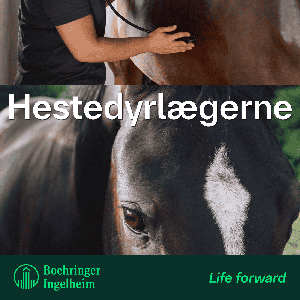Hestedyrlægerne