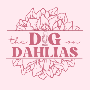 Dig on Dahlias