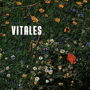 Globule Radio - Vitales