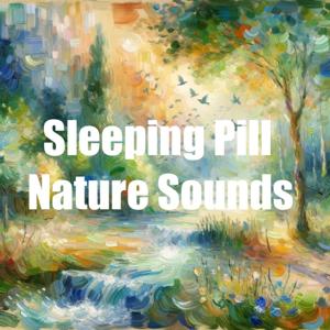 Sleeping Pill - Nature Sounds by Quiet. Please