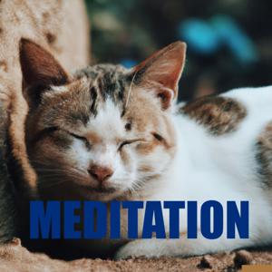 Meditation by Quiet. Please