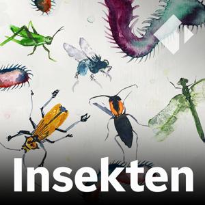 Insekten by ORF/Ö1