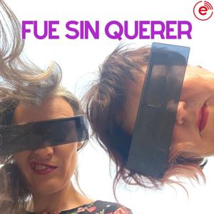 Fue Sin Querer by Begoña Iriarte y Clara Sáenz de Tejada