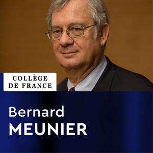 Innovation technologique Liliane Bettencourt (2014-2015) - Bernard Meunier by Collège de France