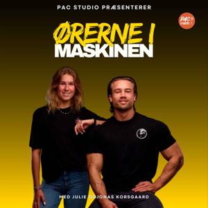 Ørerne i Maskinen