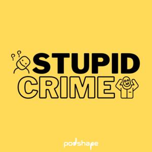 Stupid Crime