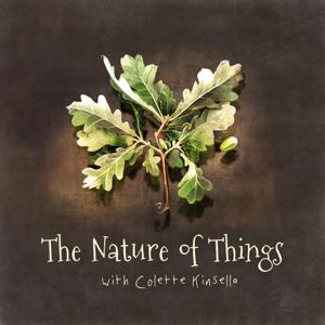 The Nature of Things by RTÉjr