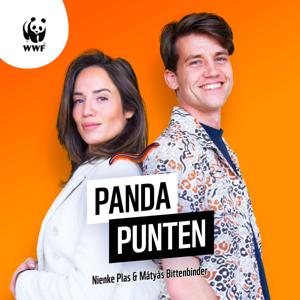 Pandapunten