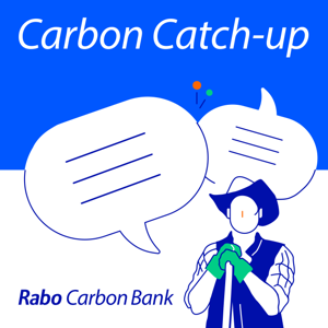 Carbon Catch-Up