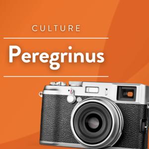 Peregrinus