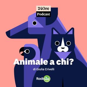 Animale a chi?