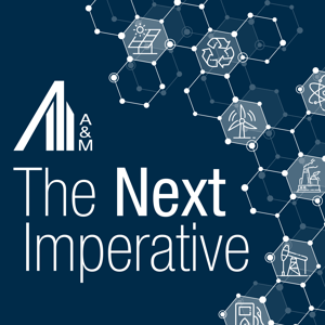 The Next Imperative by Alvarez & Marsal