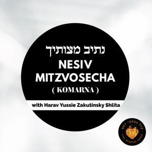 Nesiv Mitzvosecha [Komarna]