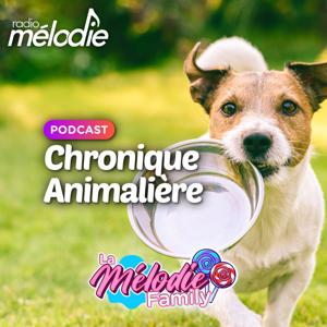 Chronique Animalière - Radio Mélodie by Radio Mélodie