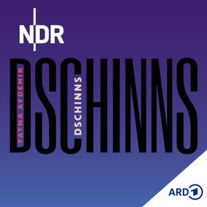 DSCHINNS