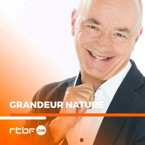 Grandeur Nature by RTBF