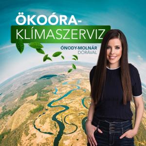 Ökoóra-Klímaszervíz