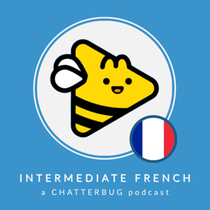 Chatterbug Intermediate French