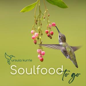 Soulfood to go by Ursula Kurrle