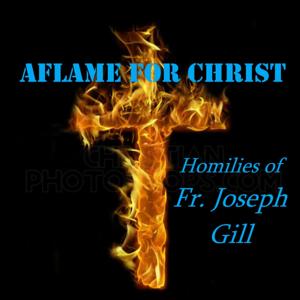 Aflame for Christ by Fr. Joseph Gill