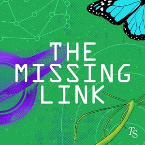 The Missing Link by The Swaddle