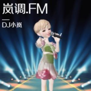 岚调 FM｜一个人 , 一小时 ,夜色如歌