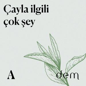 Çayla ilgili çok şey