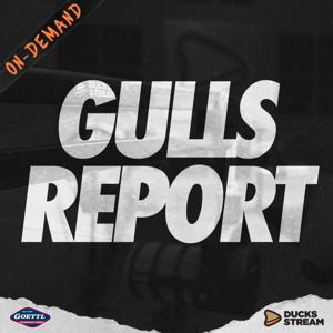 Gulls Report by Ducks Stream