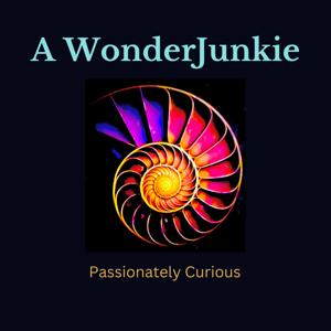 A WondeJunkie by Ryan Anderson