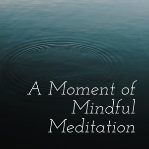 A Moment of Mindful Meditation