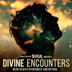 Divine Encounters: Near-Death Experiences (NDE) & Beyond by Next Level Soul