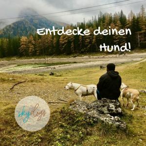 Entdecke deinen Hund