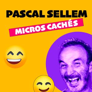 Les Micros Cachés de Pascal Sellem sur Europe 2