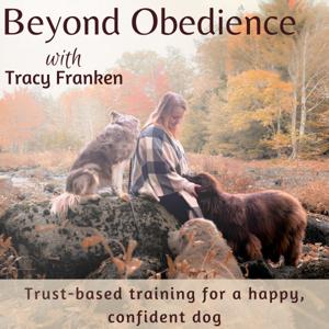 Beyond Obedience | Dog Training, Dog Behaviour Training, Scared Dogs, Reactive Dogs