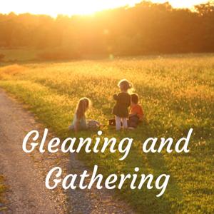 Gleaning and Gathering by Eric Himelick