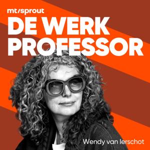 De Werkprofessor