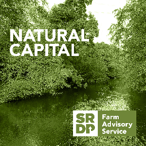 Natural Capital