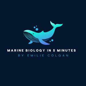 Marine Biology in 5 Minutes